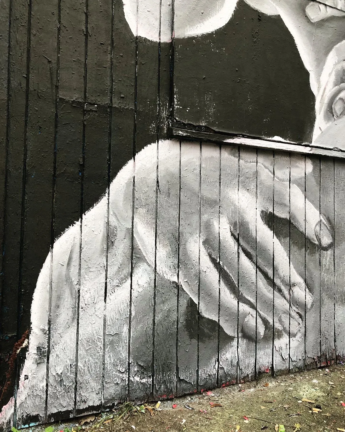 El Rapto 5